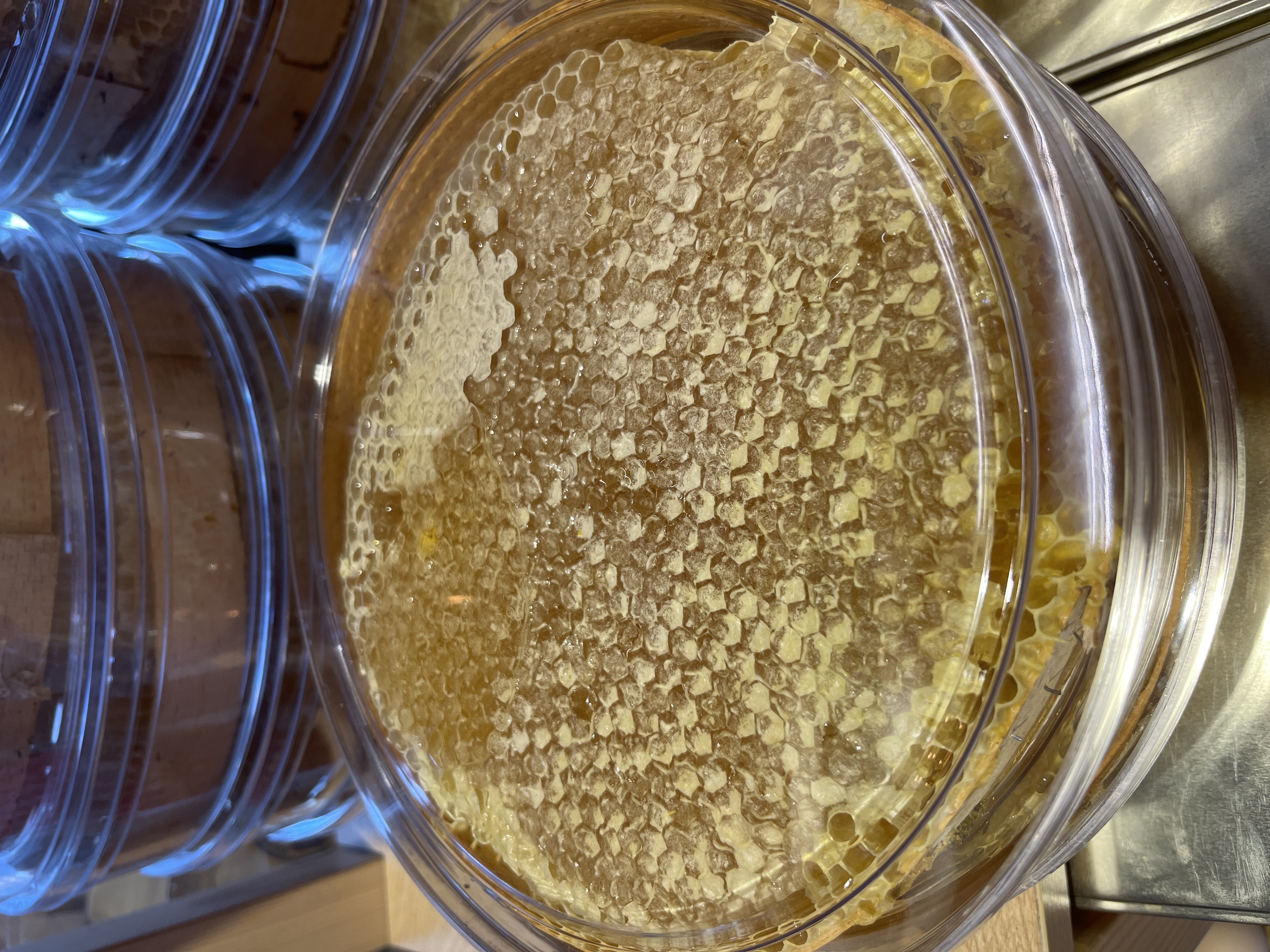 Karakovan bal çıta